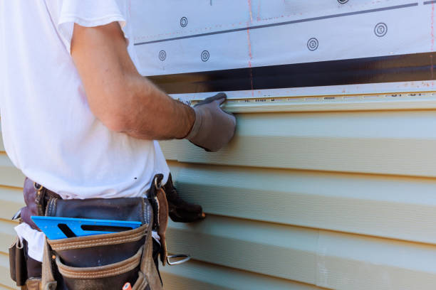 Affordable Vinyl Siding solutions in Henrico, NC